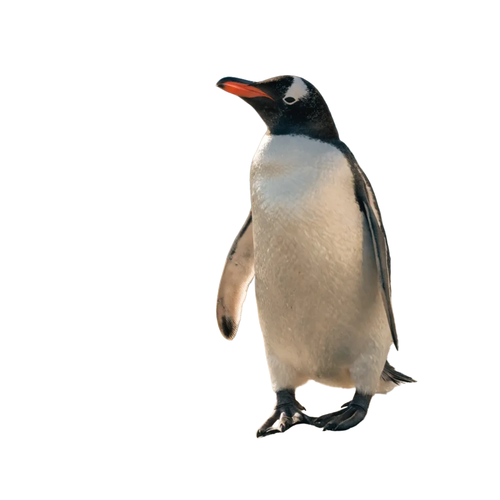Image after enhancement and upscaling