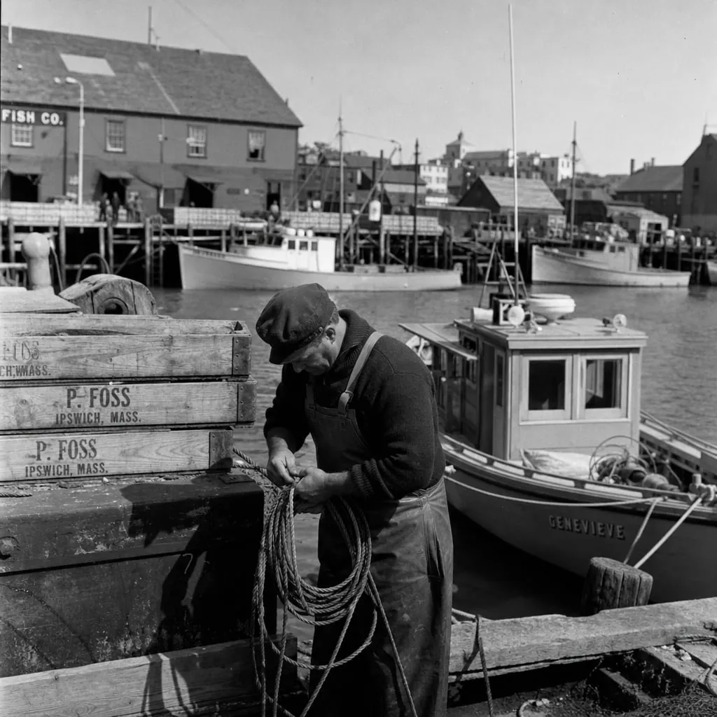 Harbor scene, original input