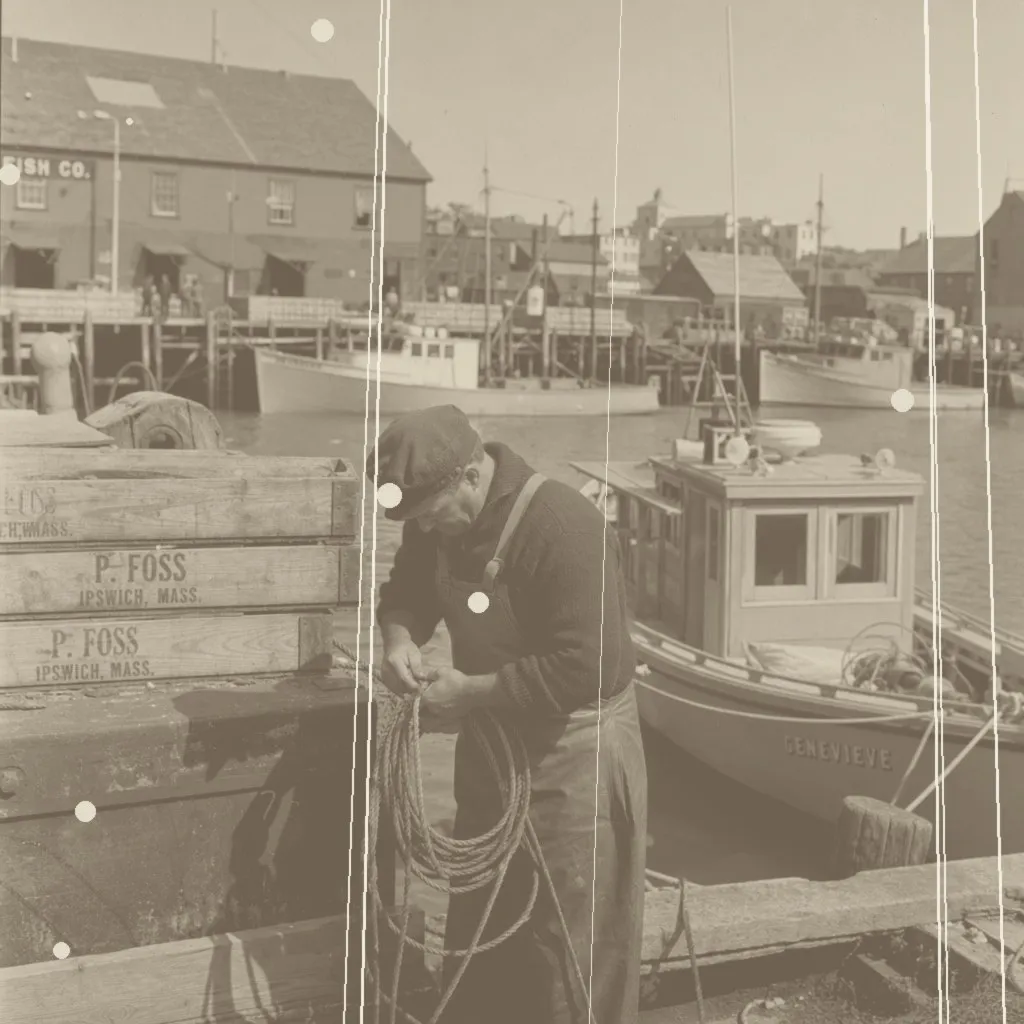 Scratched harbor scan, original input