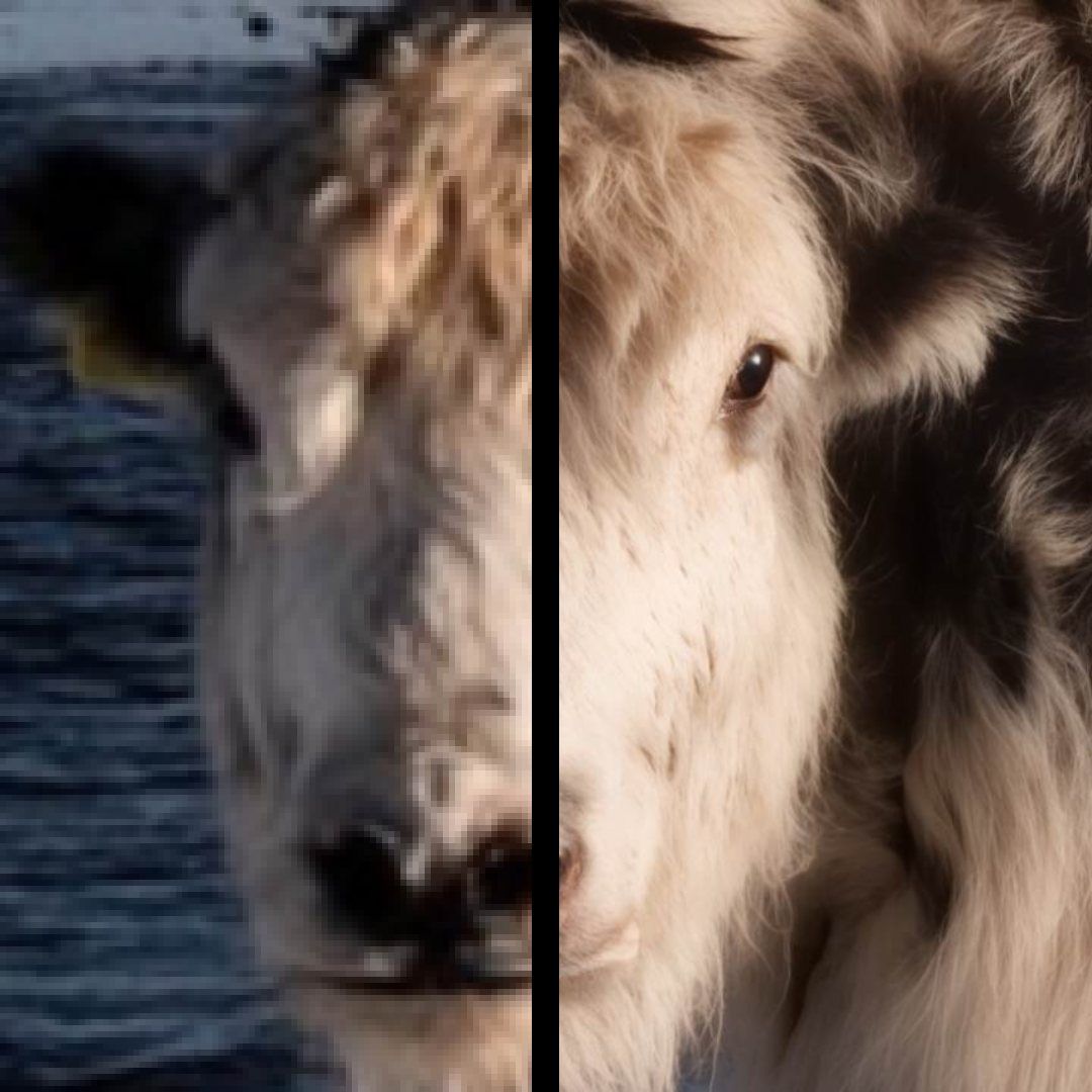 How to Increase DPI of Image Online without Losing Quality! Change Images to 300 DPI or More!